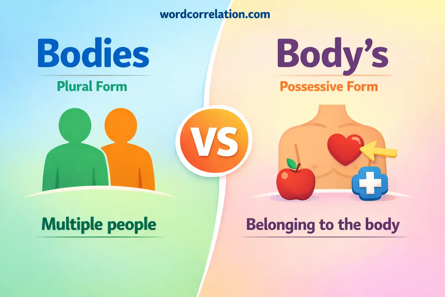 Bodies vs Body’s
