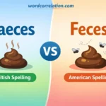 Faeces or Feces