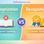 recognization vs recognition