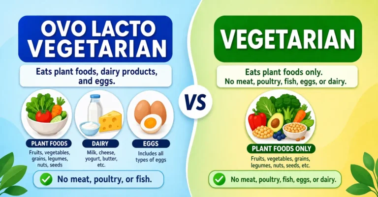 ovo lacto vegetarian vs vegetarian